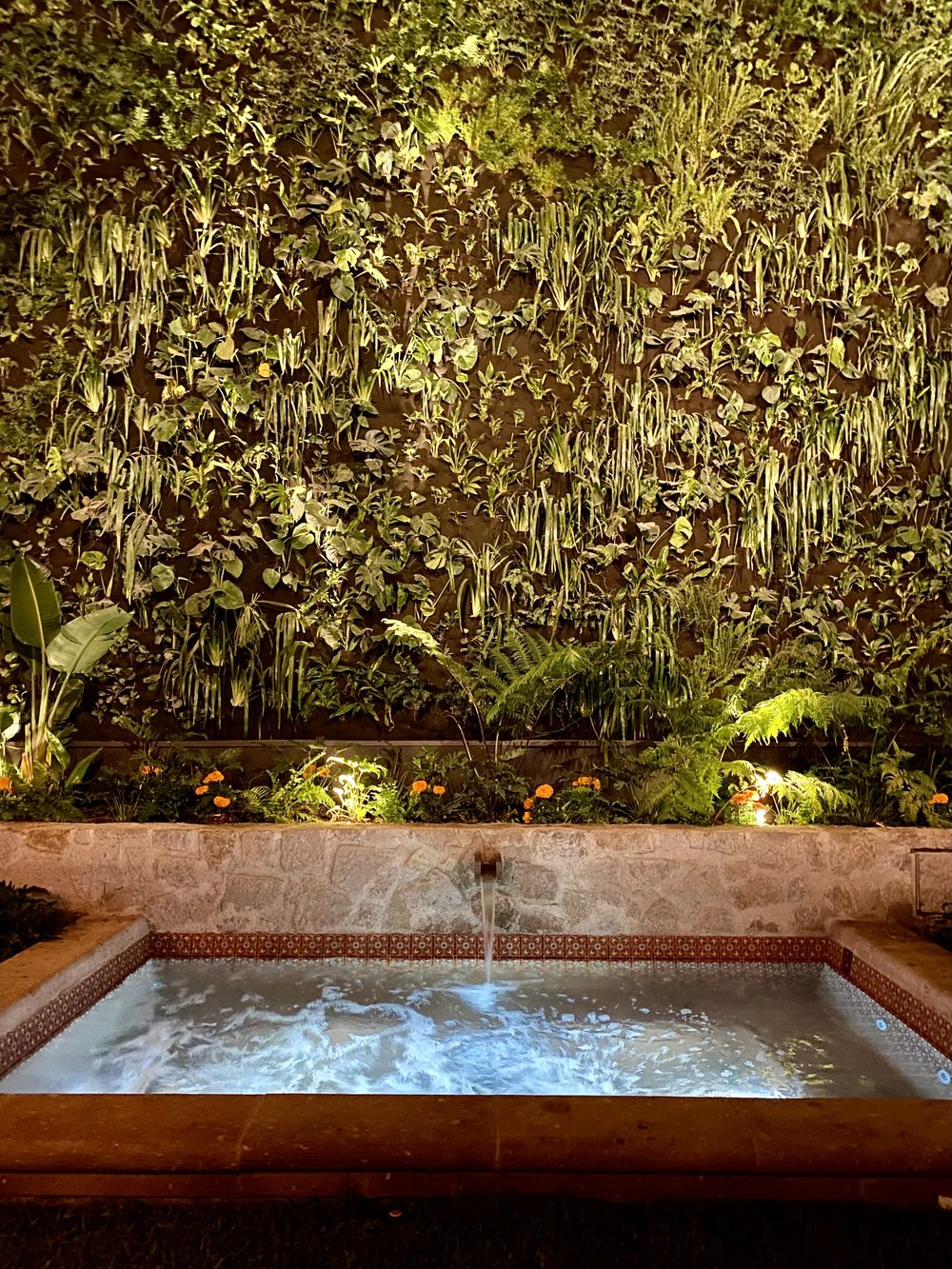 Casa Michelena — patio y alberca